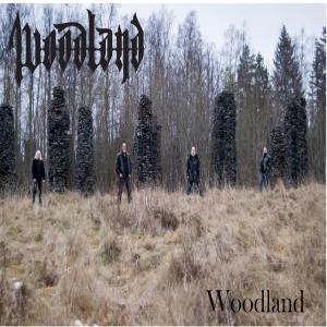 收聽WOODLAND的Woodland歌詞歌曲