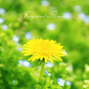 Listen to Fragrant Flowers song with lyrics from 로시