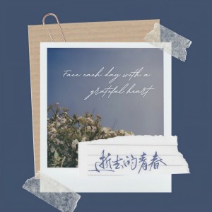 Album 逝去的青春 from Z.M