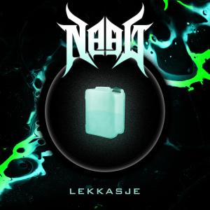 收聽Naal的Lekkasje歌詞歌曲