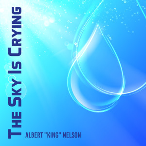 ดาวน์โหลดและฟังเพลง Call It Stormy Monday พร้อมเนื้อเพลงจาก Albert King Nelson