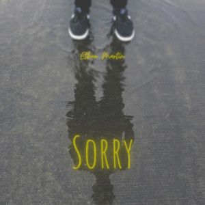 Album Sorry (Explicit) from Ethan Martin