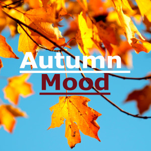 ดาวน์โหลดและฟังเพลง September In The Rain พร้อมเนื้อเพลงจาก Annie Lennox