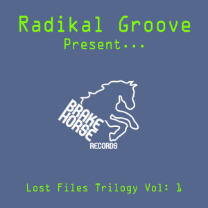 ดาวน์โหลดและฟังเพลง Take Off พร้อมเนื้อเพลงจาก Radikal 1