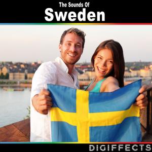 ดาวน์โหลดและฟังเพลง Stockholm, Sweden City Square at Night with Music and Voices พร้อมเนื้อเพลงจาก Digiffects Sound Effects Library