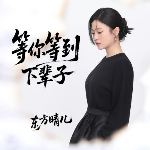 东方晴儿的专辑等你等到下辈子