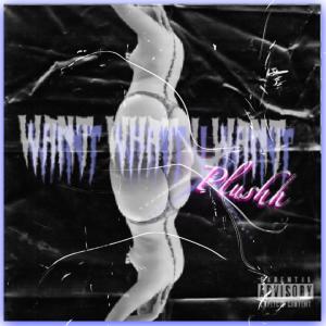 ดาวน์โหลดและฟังเพลง Want What I Want (Explicit) พร้อมเนื้อเพลงจาก Plushh