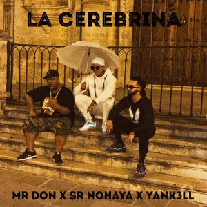 Album La Cerebrina oleh MR DON