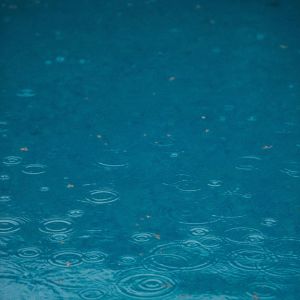 Listen to Drips and Drops song with lyrics from Rain Sounds