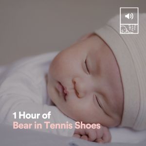 1 Hour of Bear in Tennis Shoes