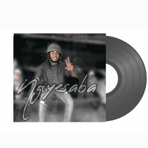 Album Ngiyesaba from Devs Musiq