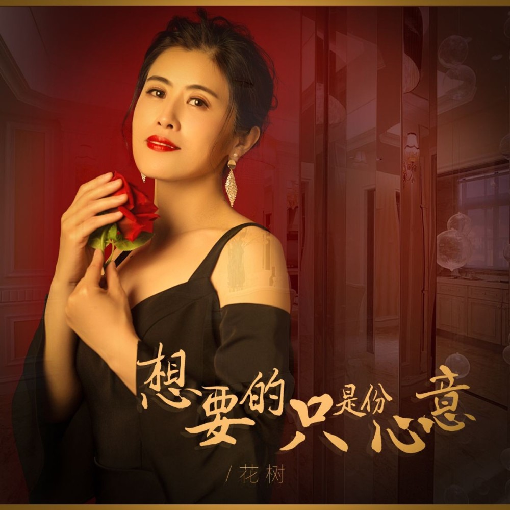 想要的只是份心意 (伴奏)