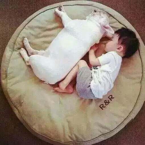 庸情俗爱