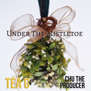 ดาวน์โหลดและฟังเพลง Under the Mistletoe พร้อมเนื้อเพลงจาก Tea G
