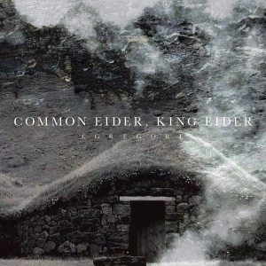 收聽Common Eider的Blood .-. Water歌詞歌曲