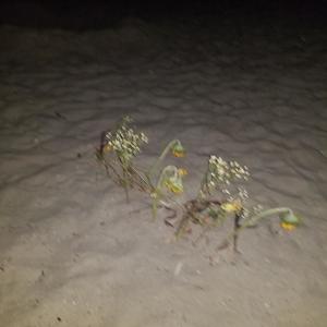 收聽gl0wrm的i knew it歌詞歌曲