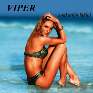 ดาวน์โหลดและฟังเพลง Follo V พร้อมเนื้อเพลงจาก Viper