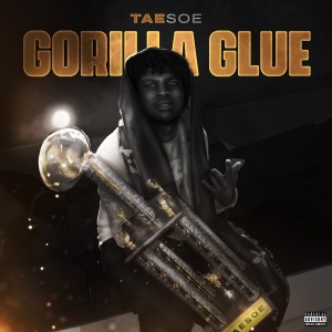 Taesoe的專輯Gorilla Glue (Explicit)