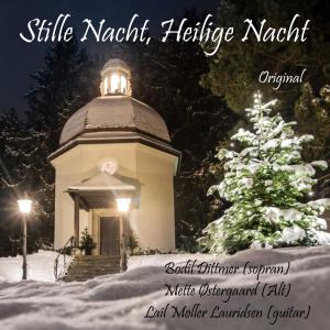 收听Laif Møller Lauridsen的Stille Nacht Heilige Nacht (Explicit)歌词歌曲