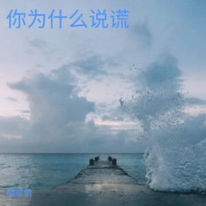 喵星怡的专辑你为什么说谎