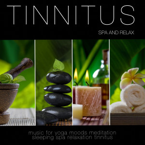 收听Tinnitus的Spa歌词歌曲