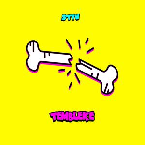 收聽ST7V的TEMBLEKE (Explicit)歌詞歌曲