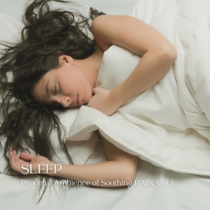 Sleep Sound Factory的专辑Sleep:  Peaceful Ambience of Soothing Rain Vol. 1