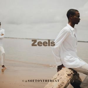 ดาวน์โหลดและฟังเพลง Zeels Afrobeat (Instrumental) พร้อมเนื้อเพลงจาก Softonthebeat