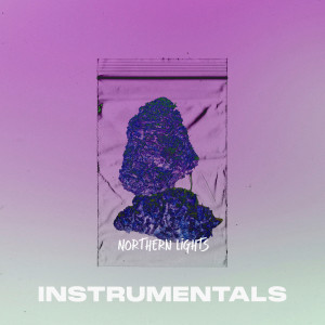 อัลบัม Northern Lights Instrumental - EP ศิลปิน Blay Vision