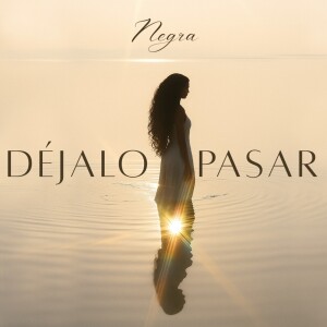 Listen to Déjalo Pasar song with lyrics from Negra