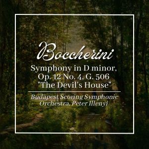 Album Boccherini: Symphony in D Minor, Op. 12 No. 4, G. 506 "The Devil's House" from Péter Illényi