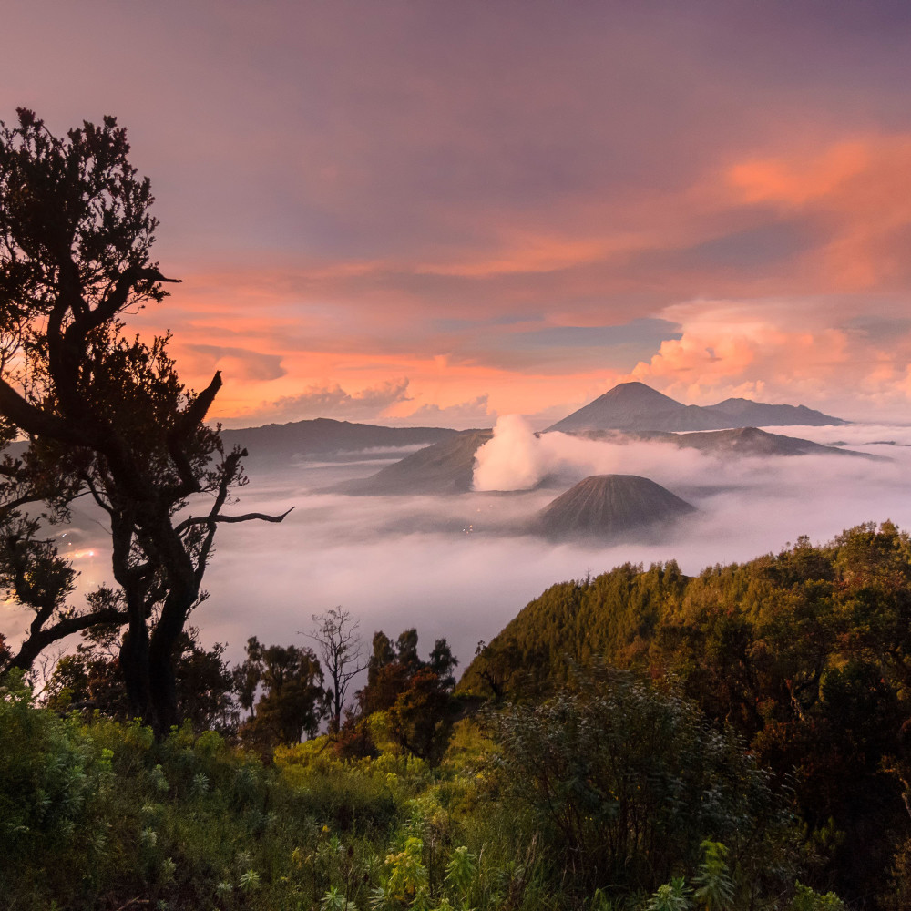 Nature's Majestic Melodic Peaks in Foothill's Rise