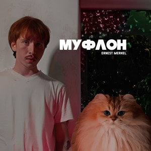 Album Муфлон from Ernest Merkel