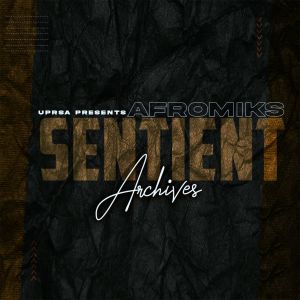 Listen to Hi Nyikeni (Tribe Mix) song with lyrics from AfroMiks