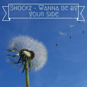 Listen to Wanna Be by Your Side song with lyrics from Shockz