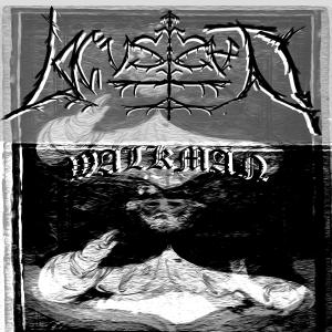 收聽Locust的Walkman (Explicit)歌詞歌曲