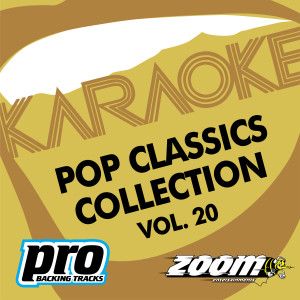 收聽Zoom Karaoke的Bye Bye Love (With Harmony) (In The Style Of 'The Everly Brothers')歌詞歌曲