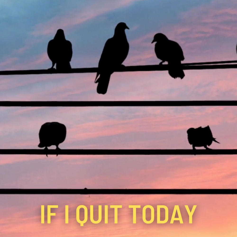 If I Quit Today