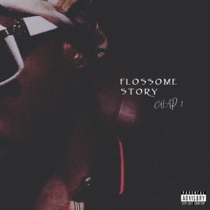 Listen to Why You With Me (Interlude) song with lyrics from Flossome