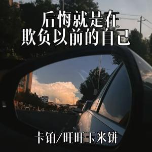Listen to 后悔就是在欺负以前的自己 song with lyrics from 卡铂