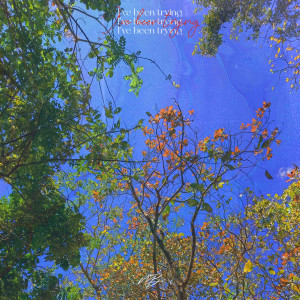 ดาวน์โหลดและฟังเพลง I've Been Trying พร้อมเนื้อเพลงจาก Hayvain