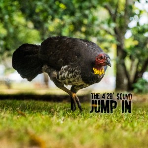 The 4'20' Sound的專輯Jump In
