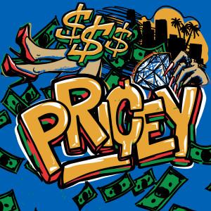 Listen to Pricey (Explicit) song with lyrics from CHASETHEMONEY
