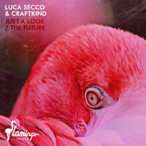 Just A Look / The Future dari Luca Secco