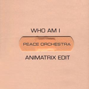 ดาวน์โหลดและฟังเพลง Who Am I (Animatrix Edit) พร้อมเนื้อเพลงจาก Peace Orchestra