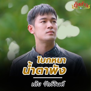 Listen to โบกหนาน้ำตาพัง song with lyrics from เต้ย จักร์รินท์