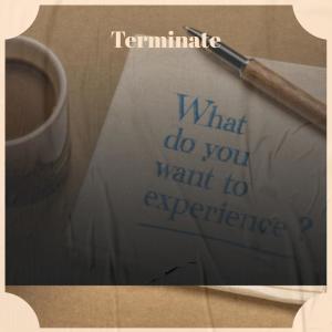 Album Terminate from Various