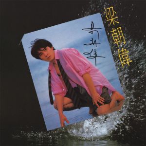 ดาวน์โหลดและฟังเพลง Dui Ni Zhao Mi พร้อมเนื้อเพลงจาก 梁朝伟