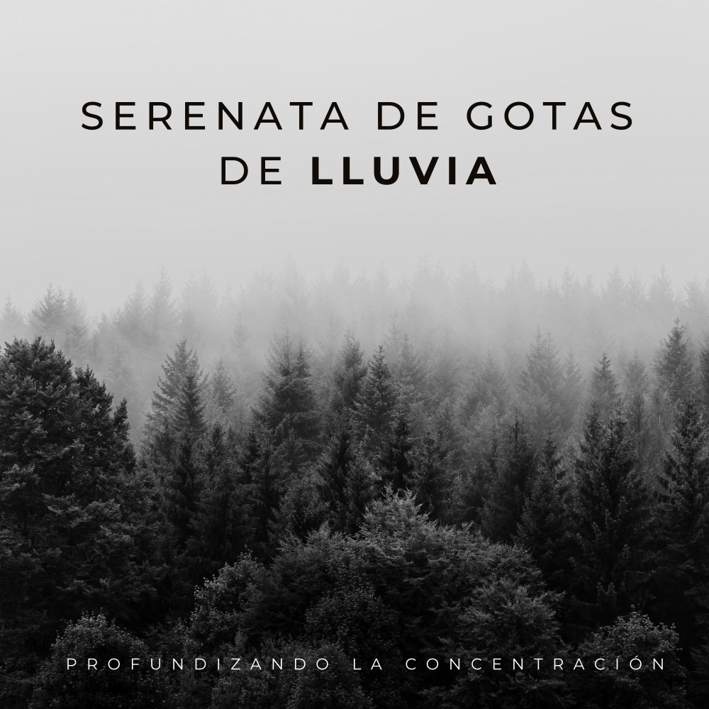 Concentración Profunda En El Trabajo