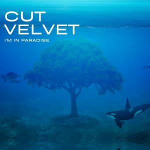 อัลบัม I'm in Paradise ศิลปิน Cut Velvet